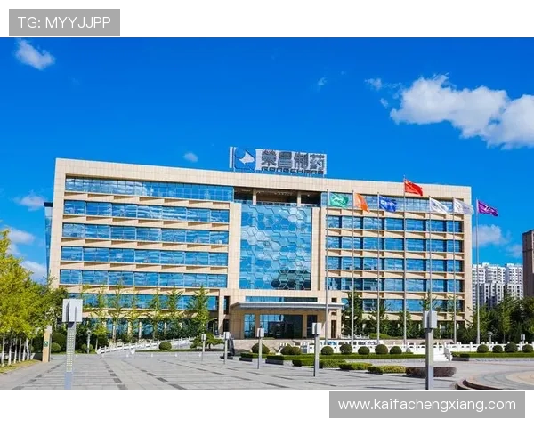 K8凯发国际首页最新登录入口全面解析，助你轻松开启畅玩体验